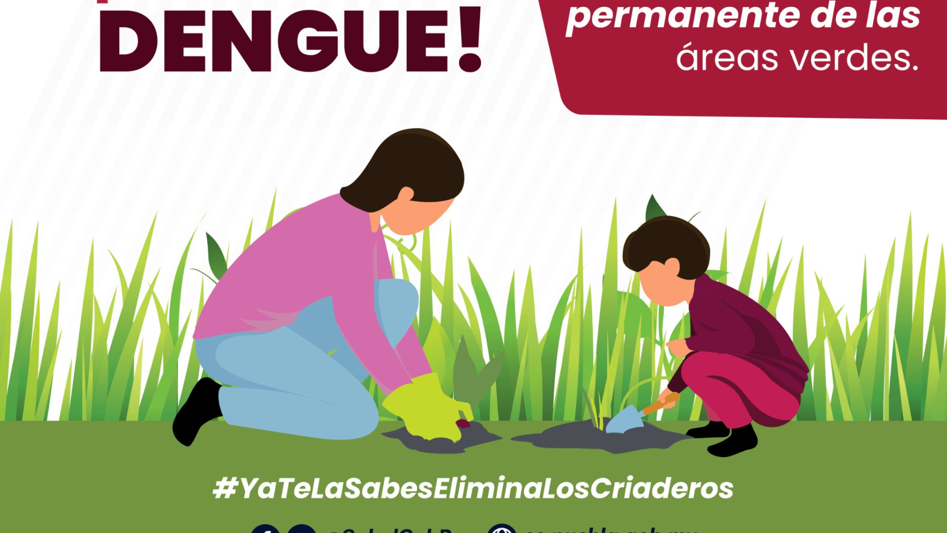 ¡Cuídate del dengue!